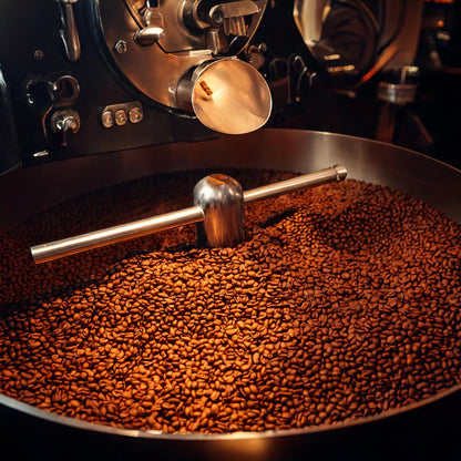 Elysian Citrus 🍊 Premium Specialty Blend Coffee - Light Roast 12oz.