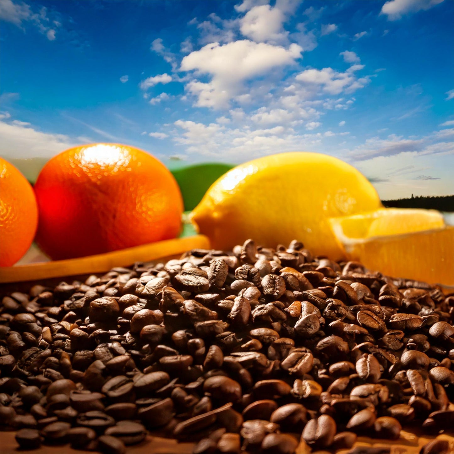 Elysian Citrus 🍊 Premium Specialty Blend Coffee - Light Roast 12oz.